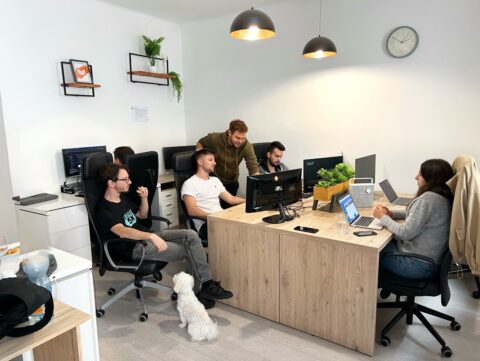 Cubicfox team at the office